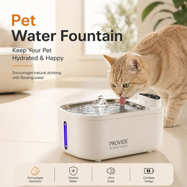 Pet water fountain with flowing water attracts cats and dogs for better hydration.