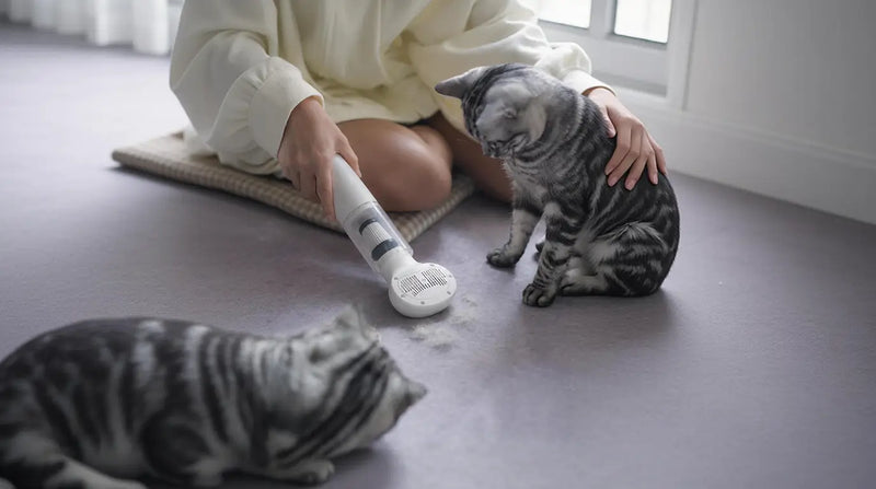 A person using the Petpatlife cordless 2-in-1 pet grooming hair dryer and brush on a happy tabby cat to remove loose fur effortlessly.