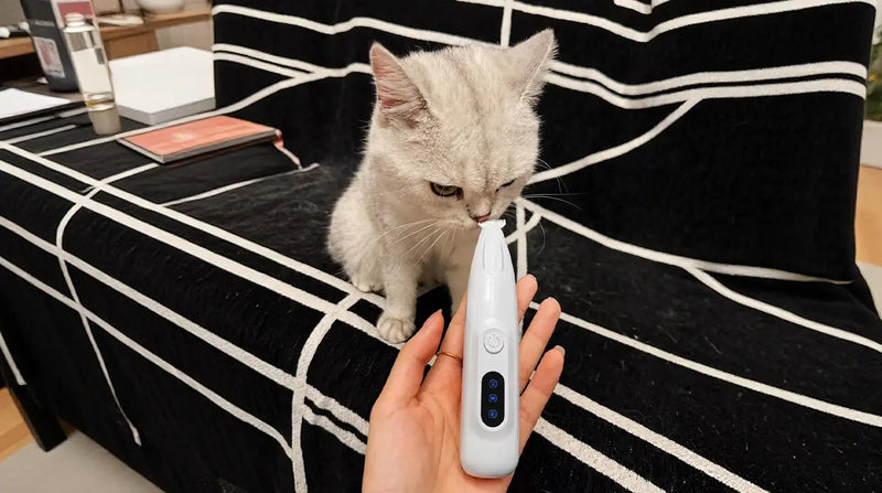 Close-up of a white cat calmly sniffing the Petpatlife professional micro-trimmer, highlighting its whisper-quiet and safe design for nervous pets.
