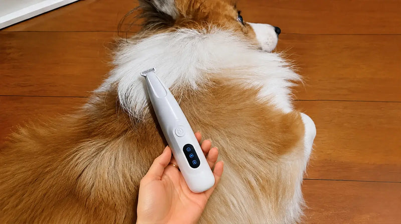 Handheld professional Petpatlife dog hair clippers being used on a Golden Retriever's thick coat, demonstrating precision home grooming.